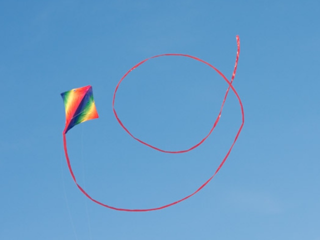 Wide Range of stunt kites Gower kite shop 