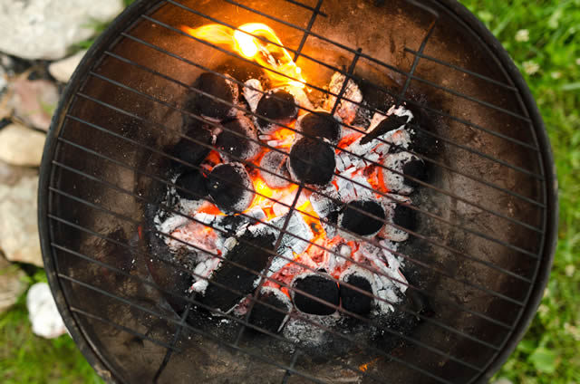 Barbecue & Fire Safety